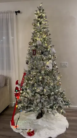 Christmas transition