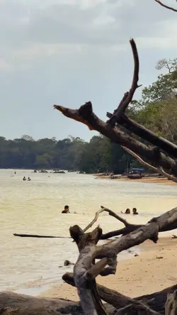 Seus vídeos + viagem