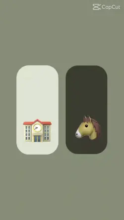 amo cavalos
