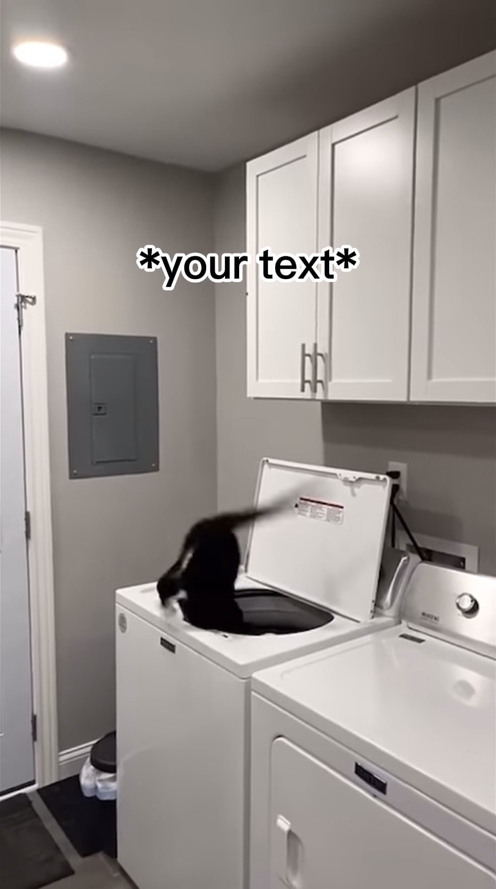 your text meme 