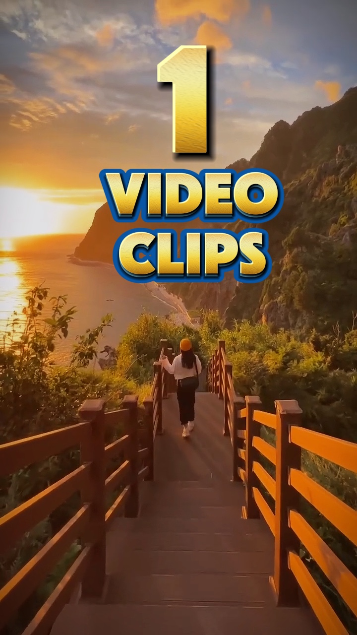 1 video clips