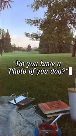 Photos