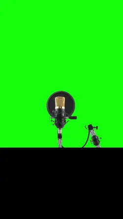 microphone microfone