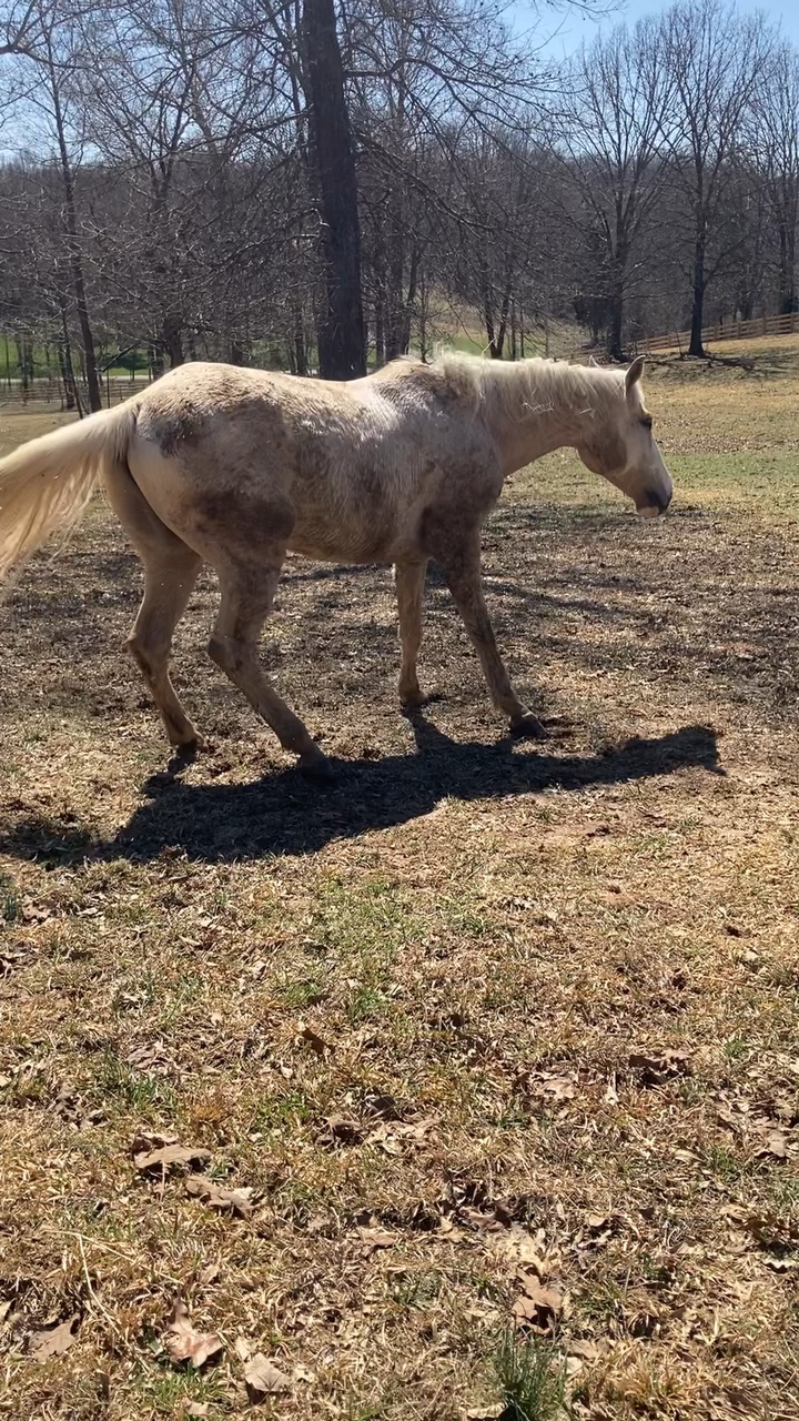 Spicy boy 😆🌶️