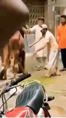 Vídeo meme pizzaria 