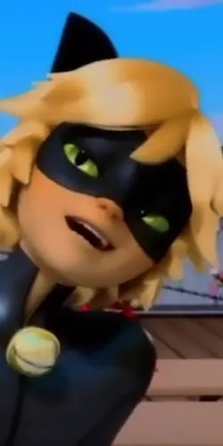 CAT NOIR ๐ฅต๐ฅ