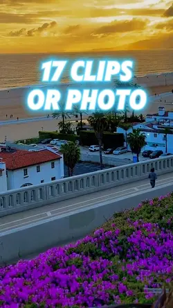 17 clips or photo 