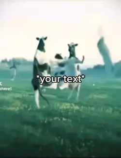 Dancing cows meme