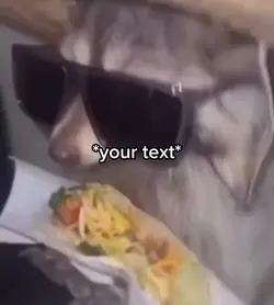 Raccoon taco