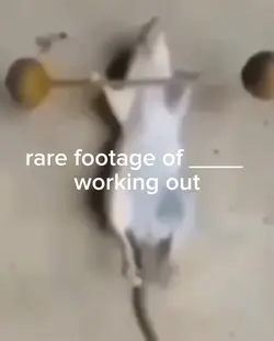 working out meme omg