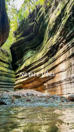 Nature Vibes 🍃