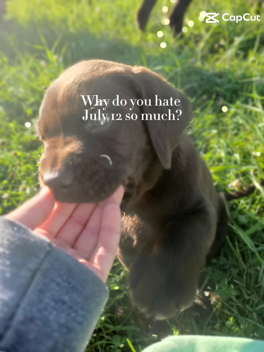hate that day