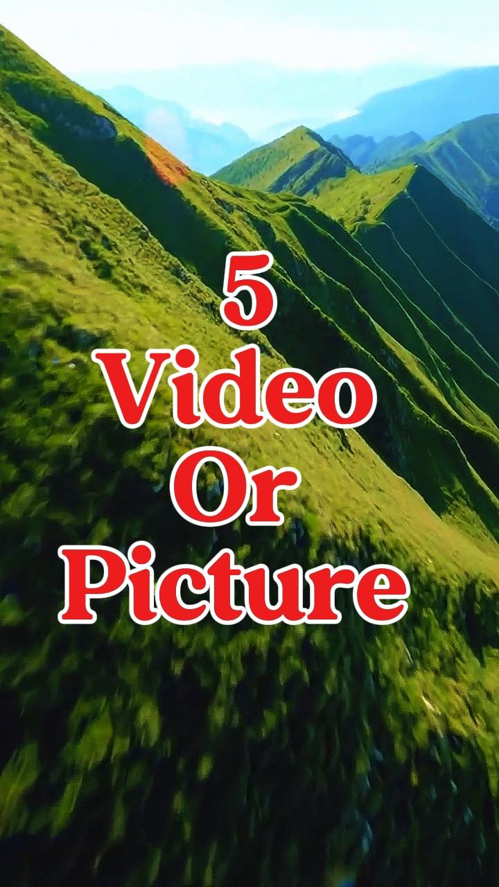 5 video or picture 
