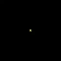 GIR