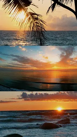 Lofi Split Screen 🌅