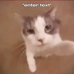 Enter text 