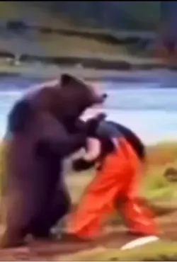 Big bear