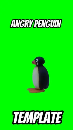 Angry Penguin 