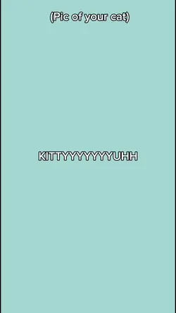 KITTYYYY