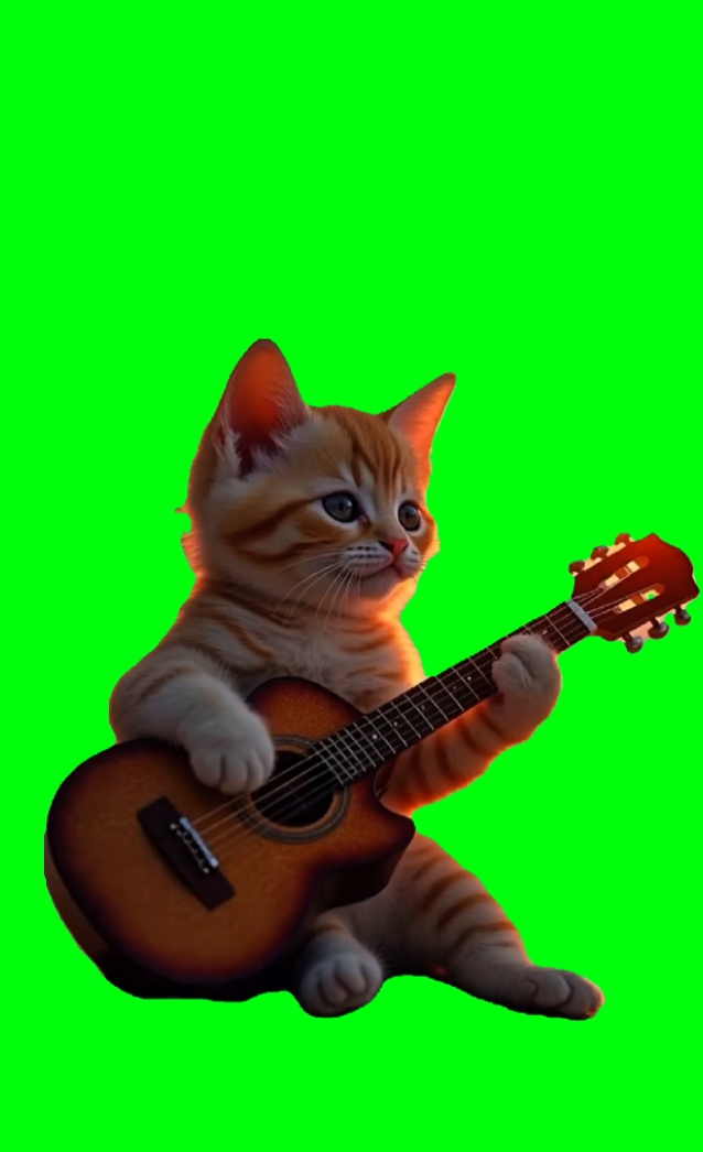 gitar kedisi
