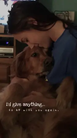 i’d give anything…