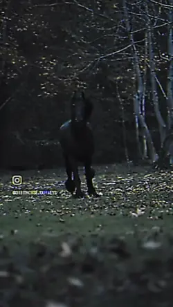 ⚠️not real⚠️