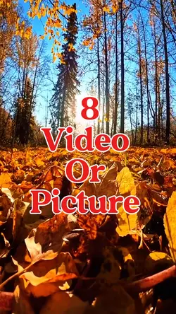 8 video or picture 