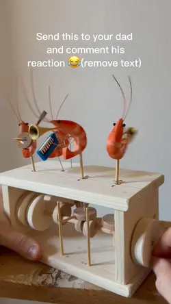 Crazy Shrimps