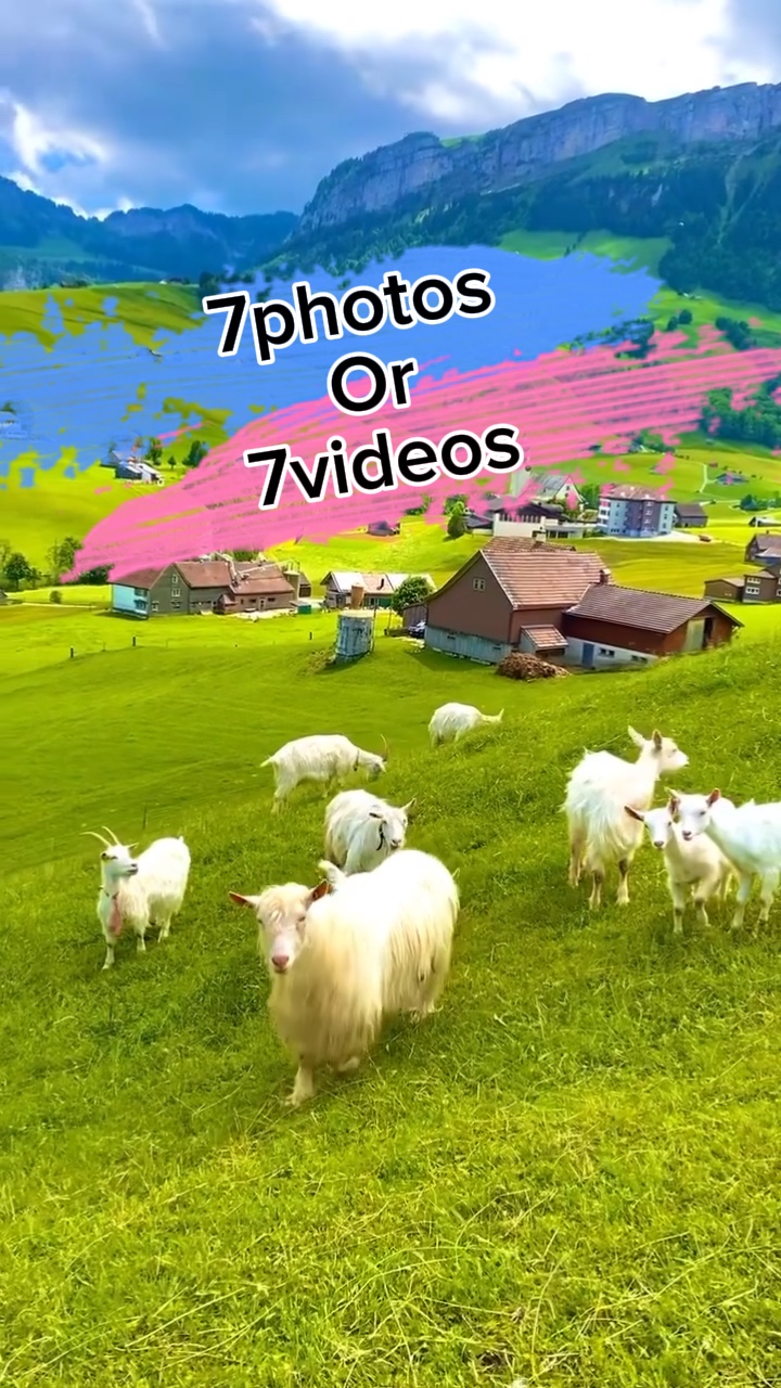 7 fotos / videos