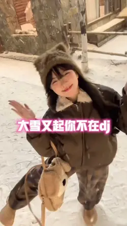 大雪又起你不在dj慢动作