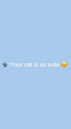 I know😻