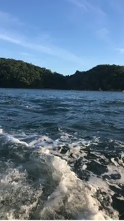 Proteção 📿🕊️