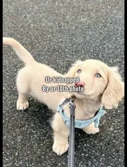 DONT SAVE ME😍🥰