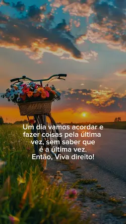 Viva direito