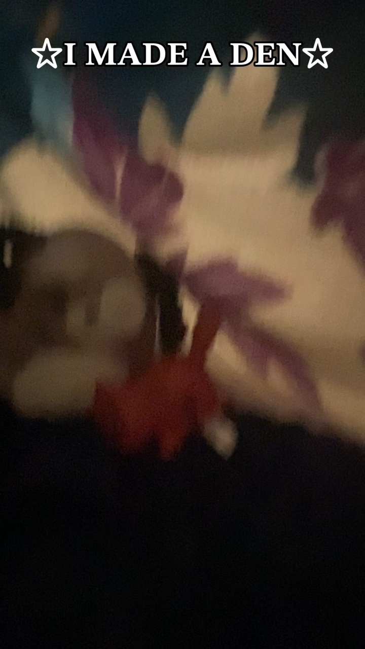 I MADE A DEN!!