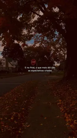 EXPECTATIVAS CRIADAS