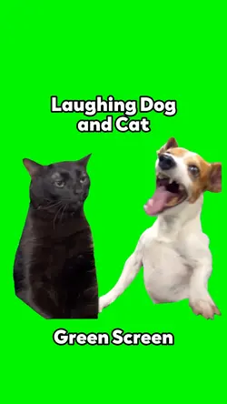 Laughing Dog and Cat