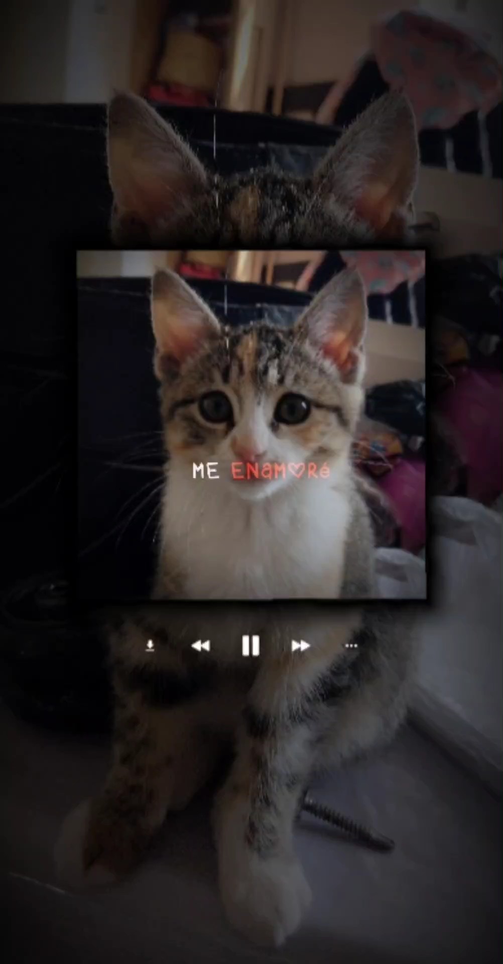 Me enamoré <3 