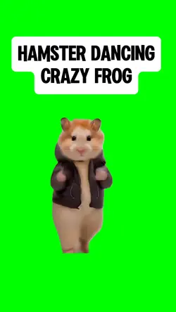 HAMSTER DANCING 