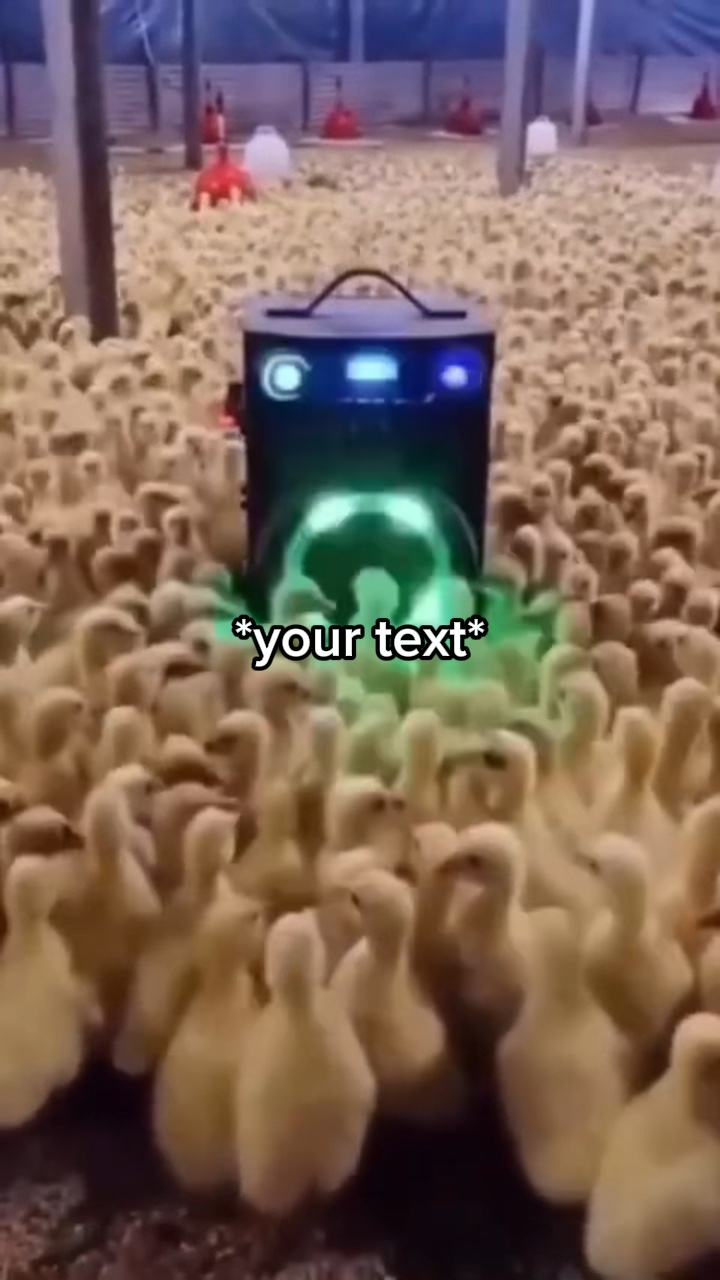 Chicken dance