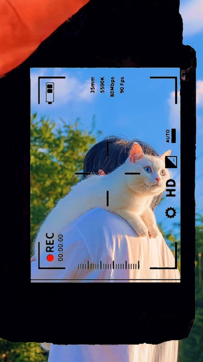 Foto anklicken