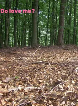 Do u love me?
