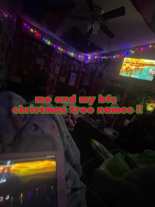 Nombres de árboles de navidad