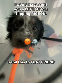 pov: THAT FRIEND 🐦