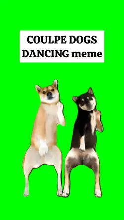 COUPLE DOGS DANCE