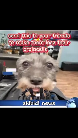 skibidi news epik