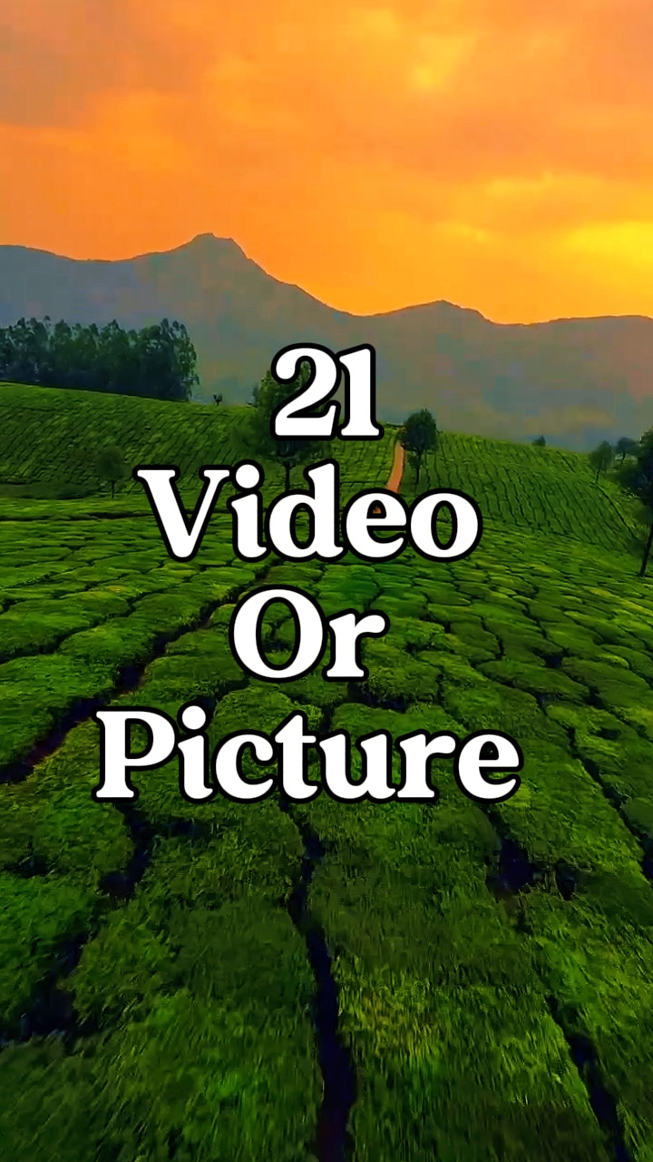 21 video or picture 