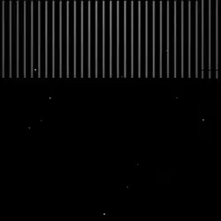 — B*tch on Her Knees