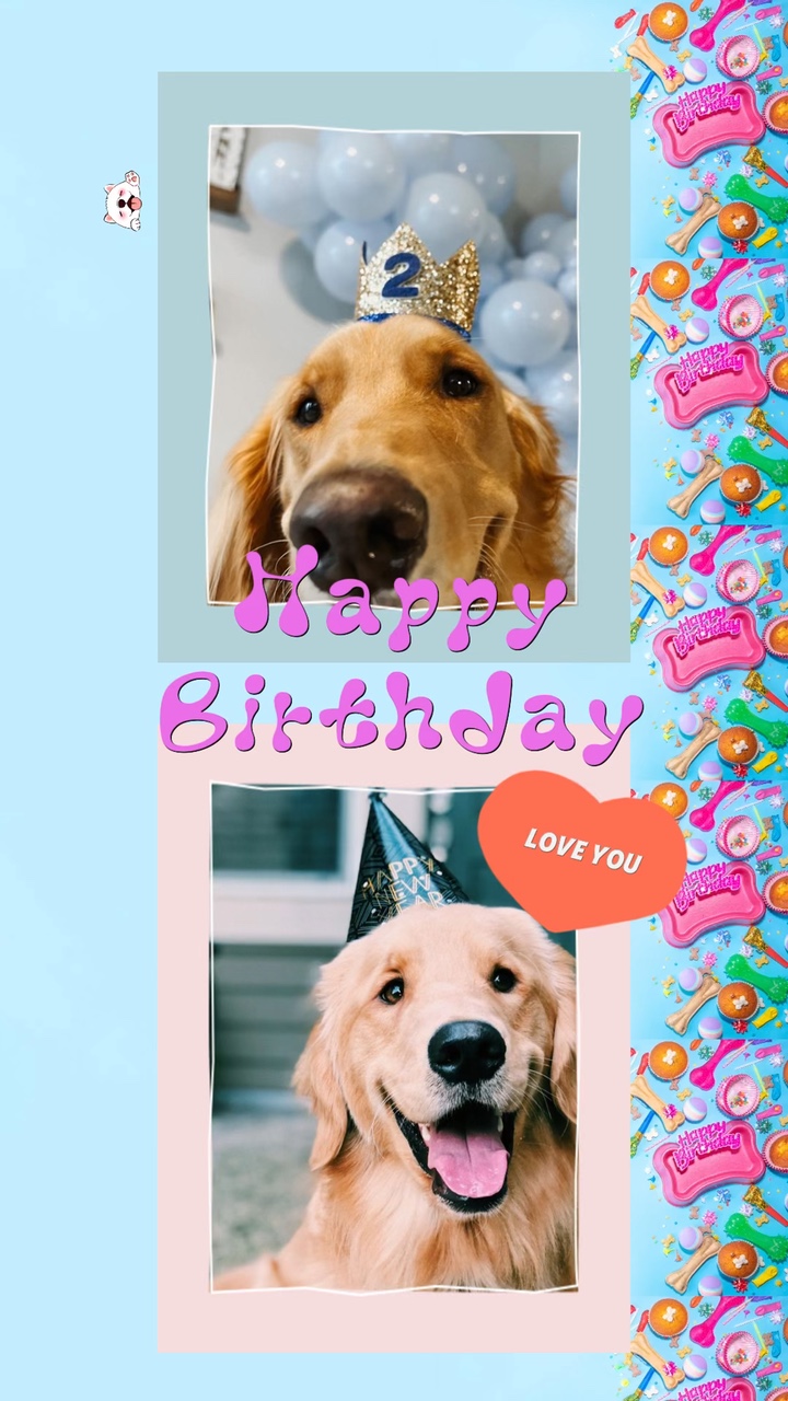 Celebración de Petday