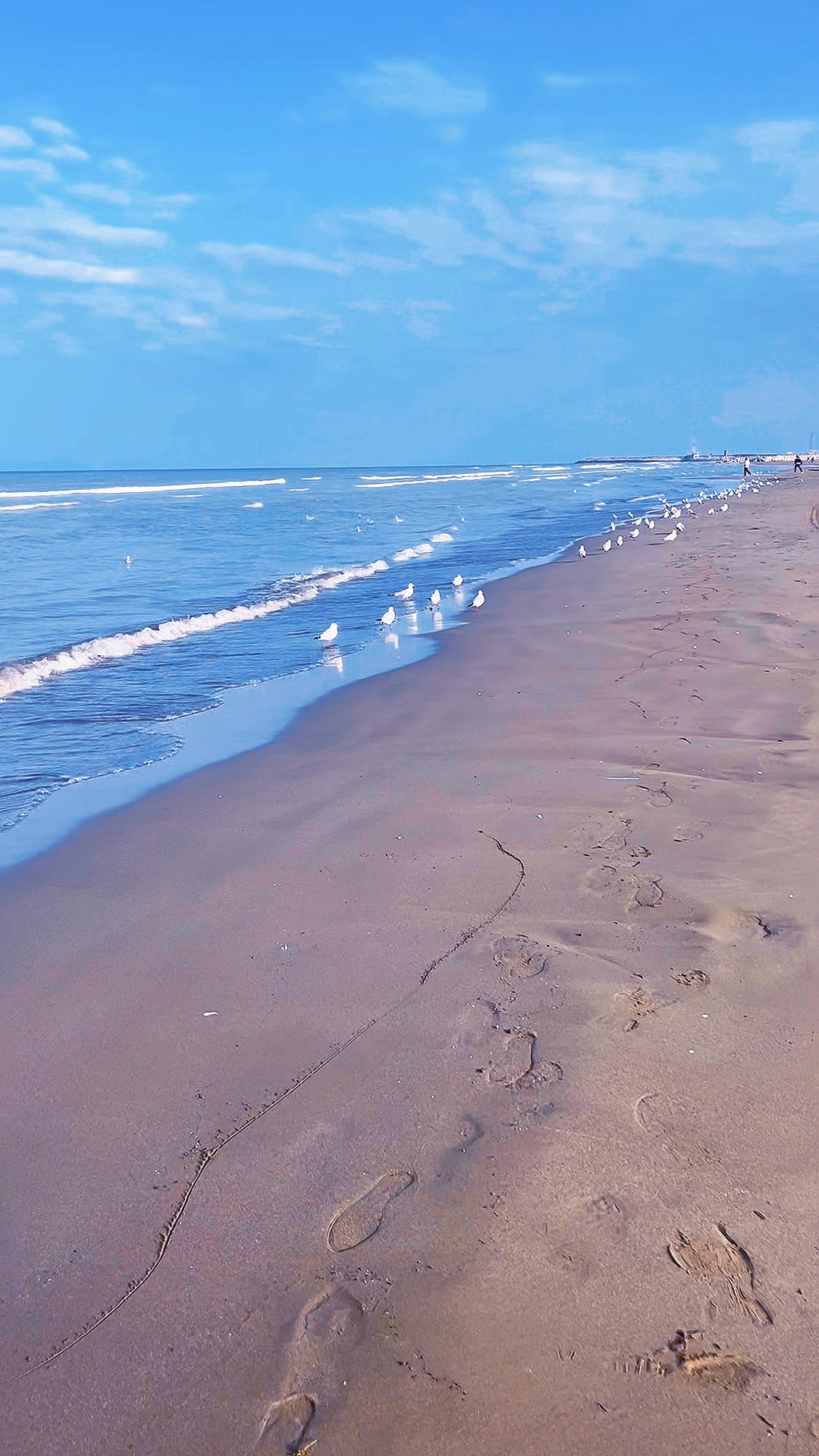 Modèle SEA
